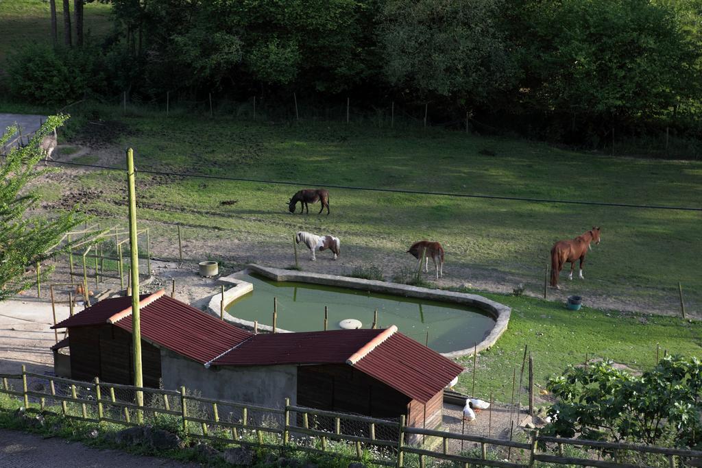 Molino De Tresgrandas Llanes Kültér fotó